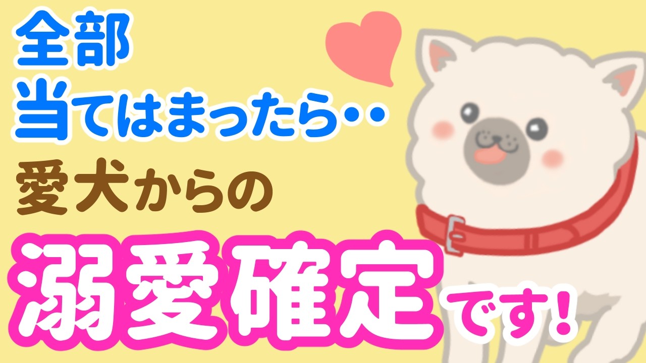 「えっ、これも!?」犬が溺愛してる人にだけ見せる愛情サイン6選