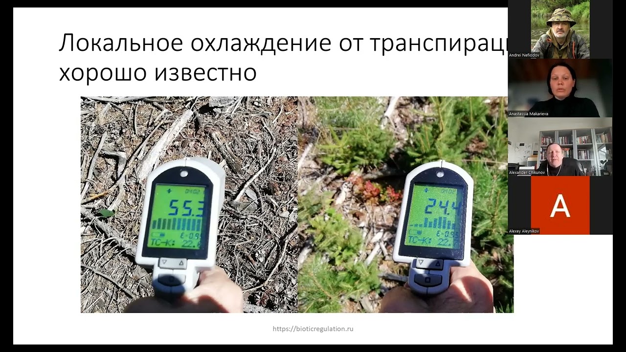 Ненарушенные леса, эвапотранспирация и глобальное похолодание