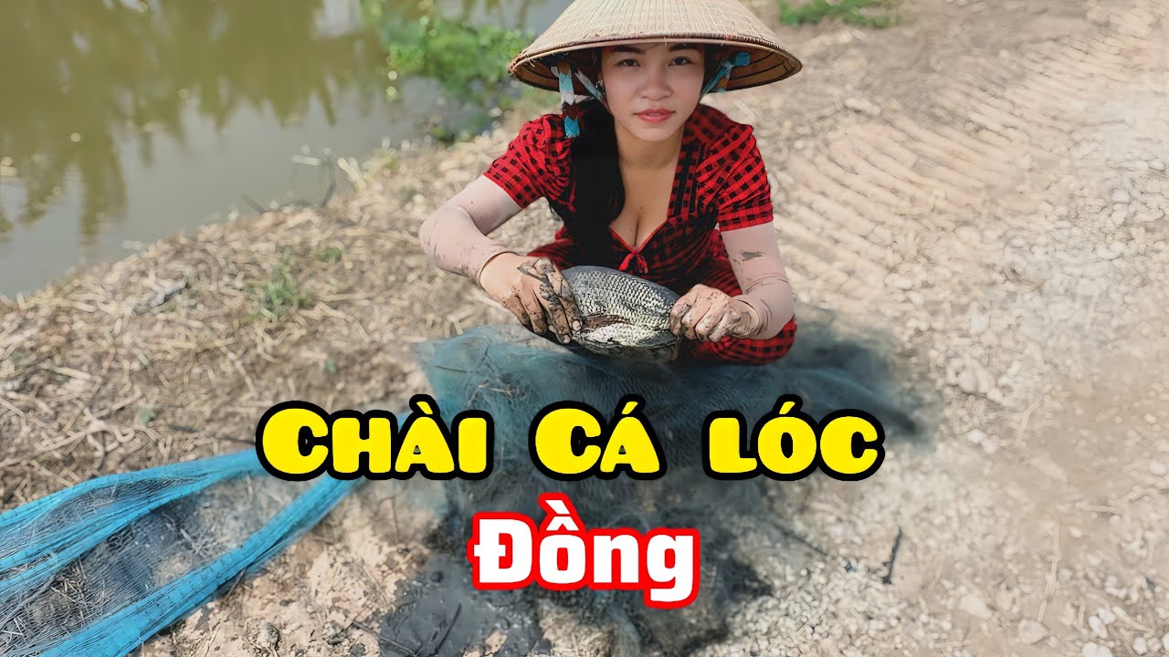 Chài cá lóc đồng miền tây | Khói Bếp - Tv