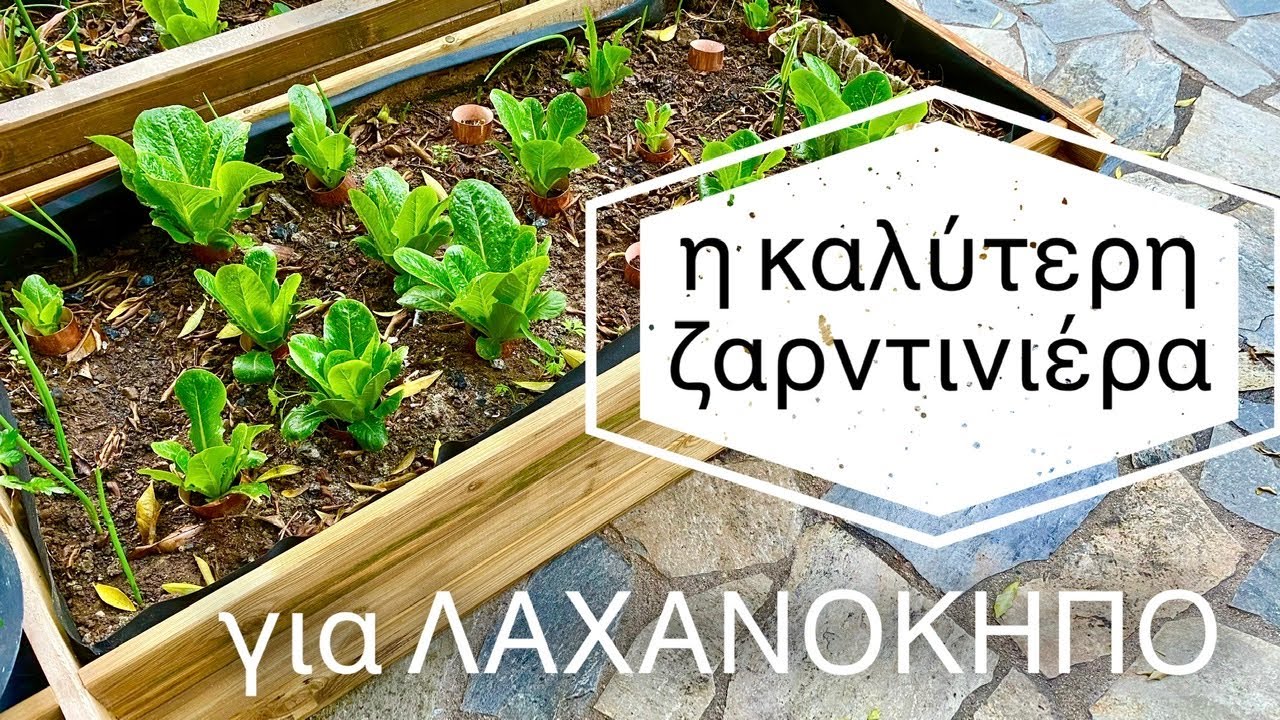 ⭕️ Λαχανόκηπος στο μπαλκόνι την ταράτσα  | #ταμυστικατησγης