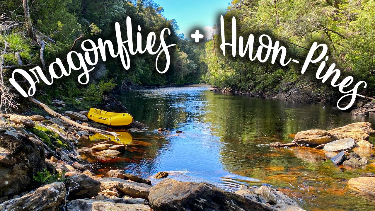 Summer Packrafting Trip to the Worlds Oldest Tree Stand (Denison River)