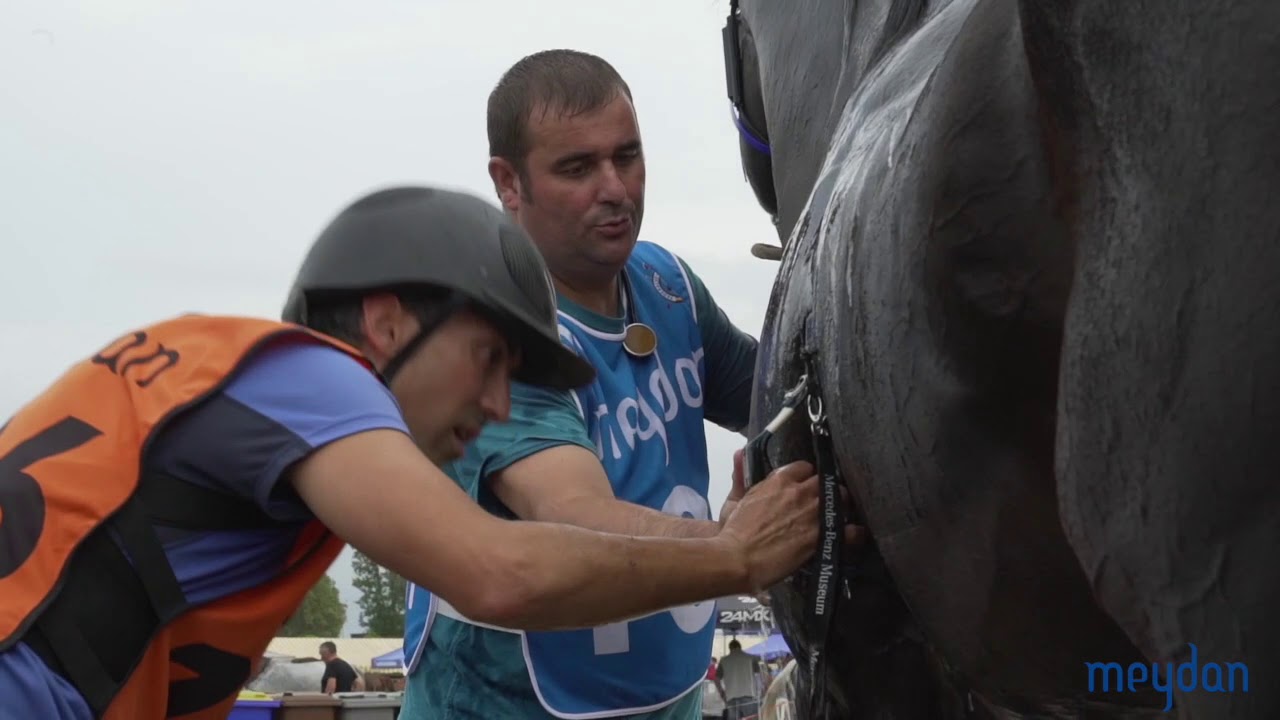 Raid Hípic de Vic - Osona 2019  Endurance Equestrian Vic 2019