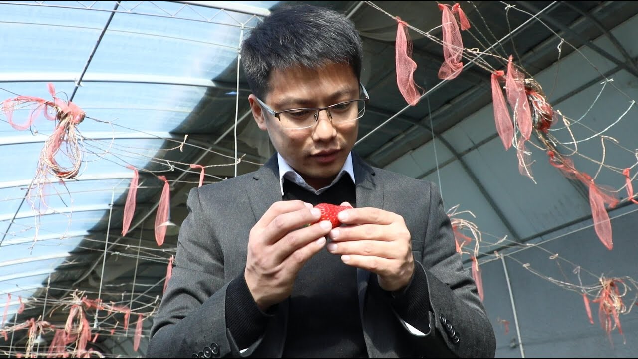 GLOBALink | Young Hong Konger goes back to nature in NW China