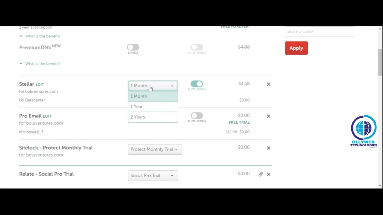 Registration of Domain Hosting using Namecheap.com International Hosting Company