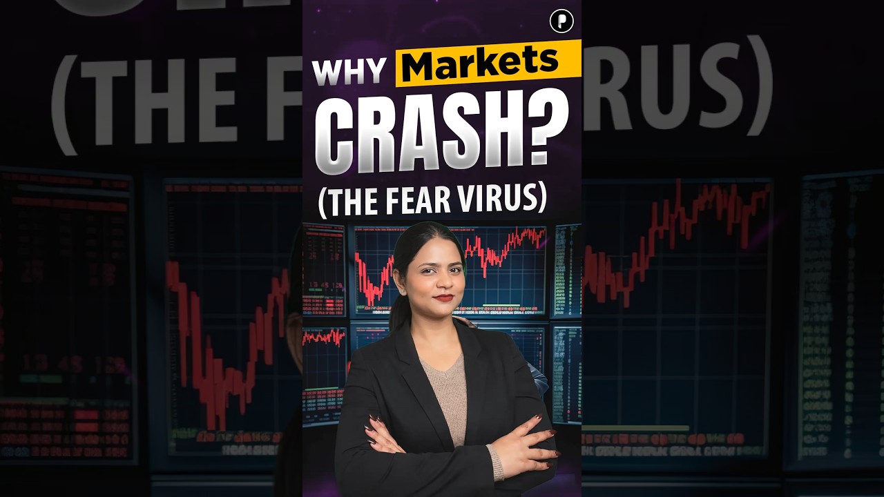 What Really Causes a Stock Market Crash?
