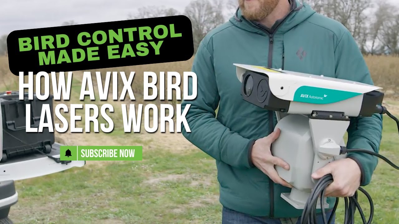 How Bird Laser Deterrents Work | AVIX Autonomic Laser Bird Control Explained