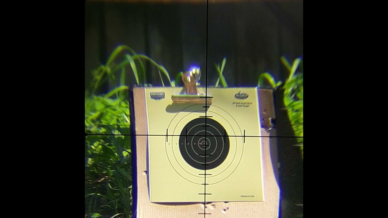 50yds, 25 cal.Benjamin Armada, JSB Hades