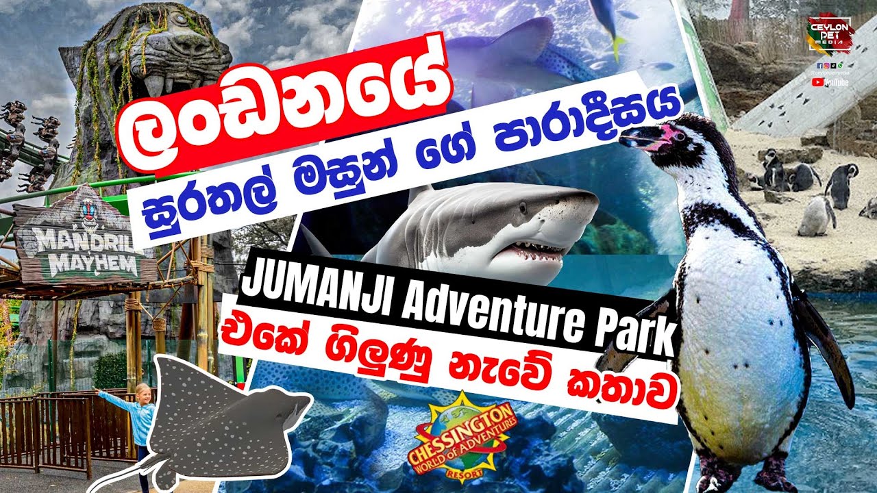 ලංඩනයේ සුරතල් මසුන් ගේ පාරාදීසය  | Chessington World of Adventure