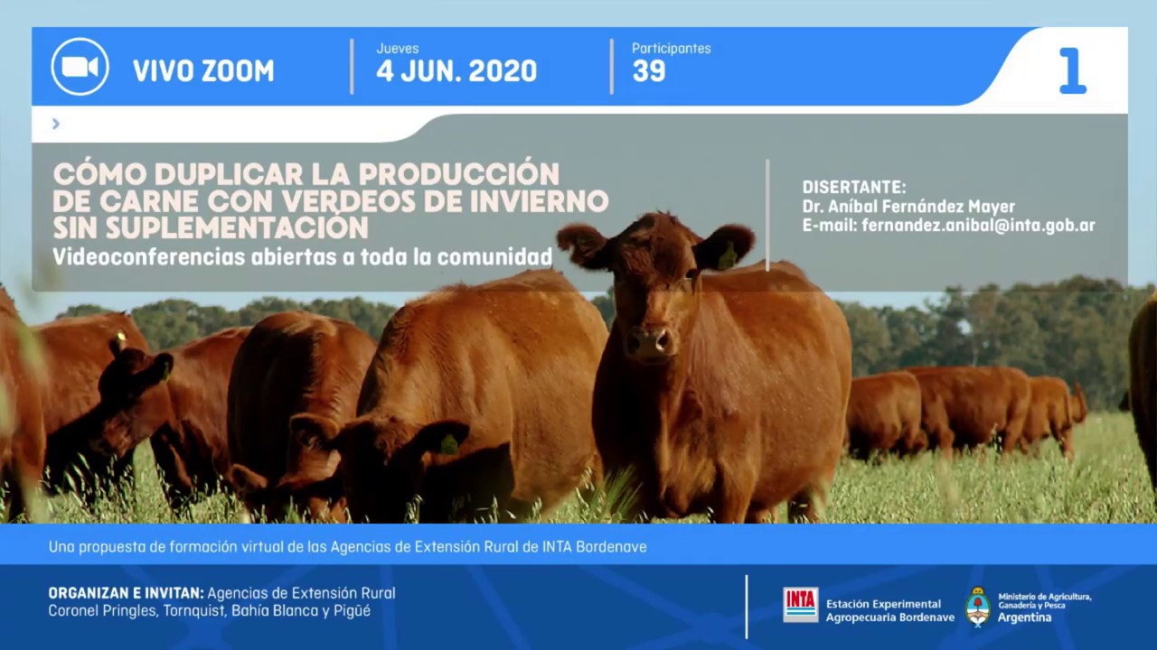 Cómo duplicar la producción de carne - Videoconferencia ZOOM