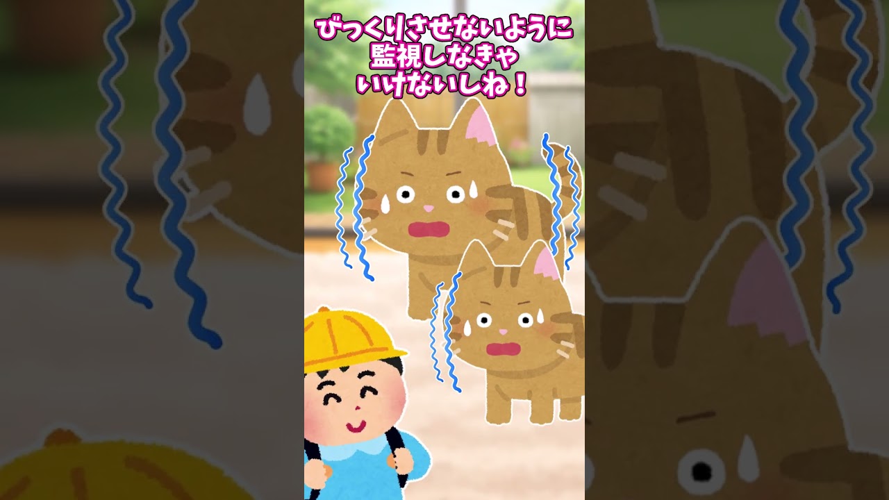【ほっこり】ついにうちに猫が来たわ！二匹よ！子猫よ！ひゃっほーーーーう