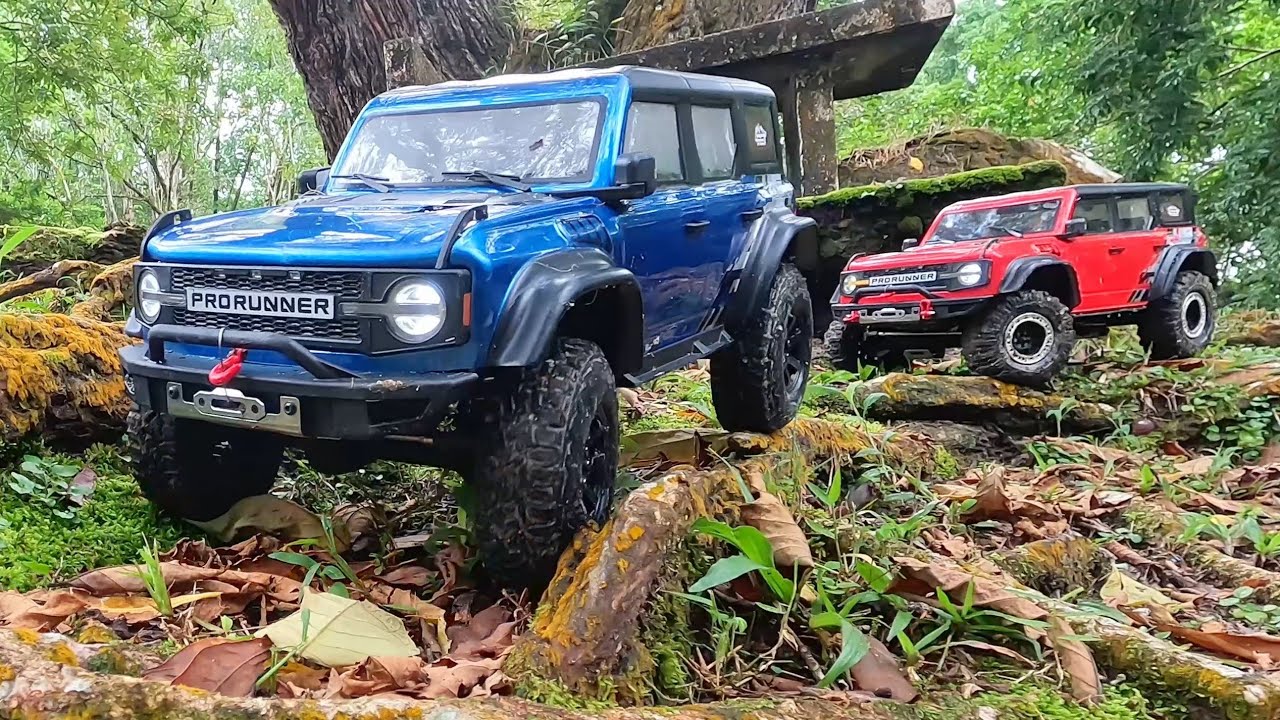 Dynamic Duo (RGT Pro Runner EX86130)