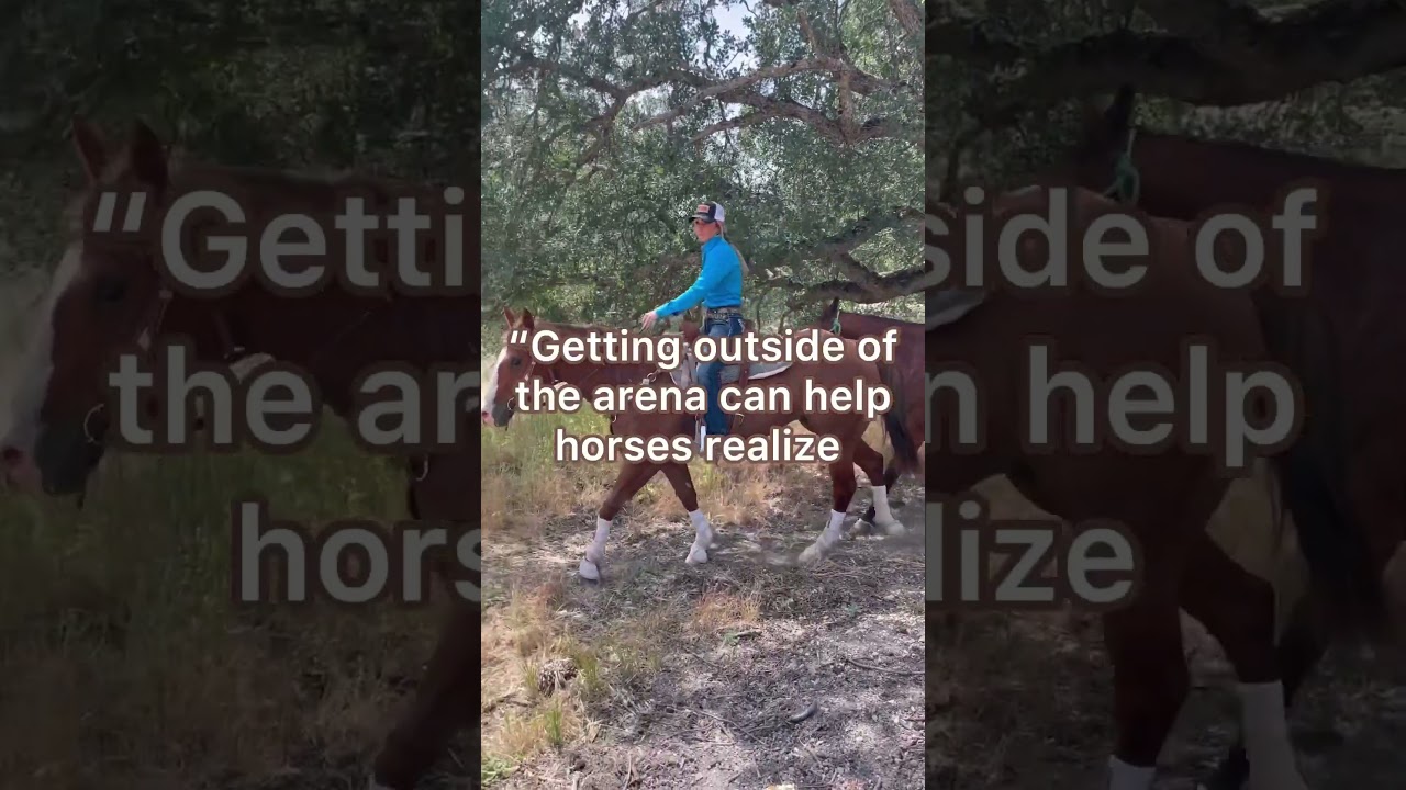 Reasons to Ride Your Horse Outside the Arena