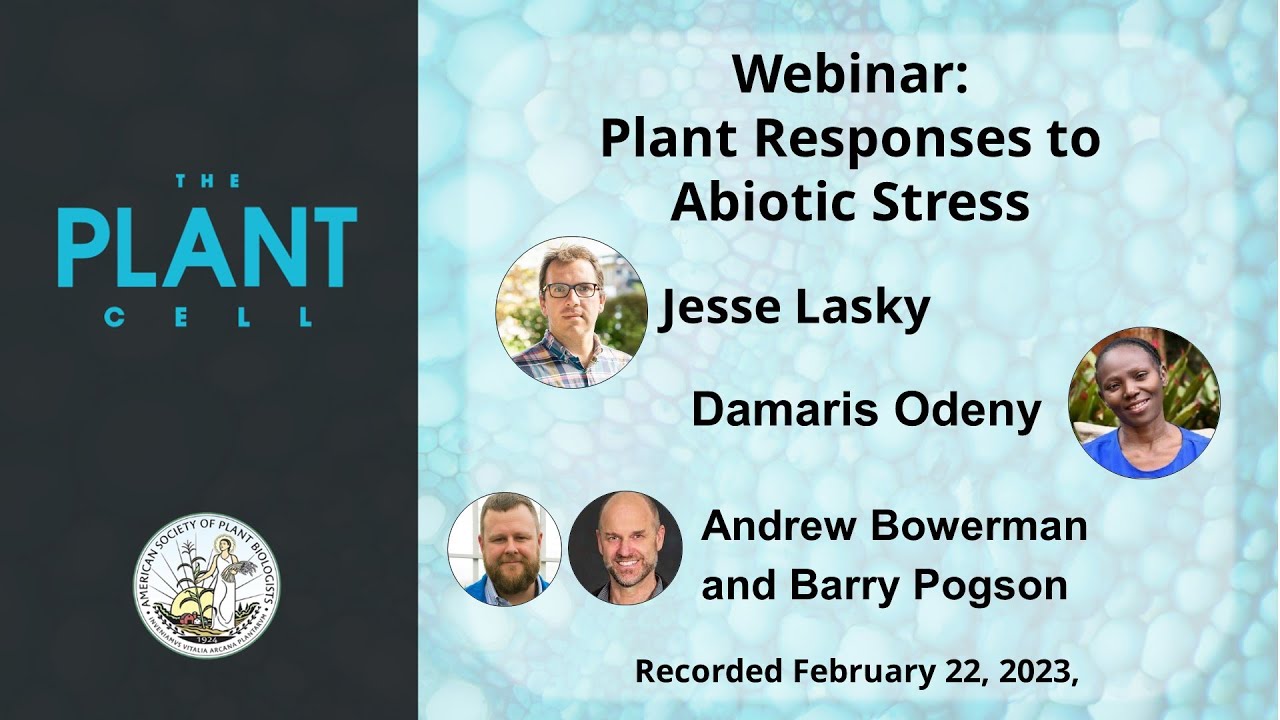 Plant Cell Webinar: Crop Breeding for Climate Resilience