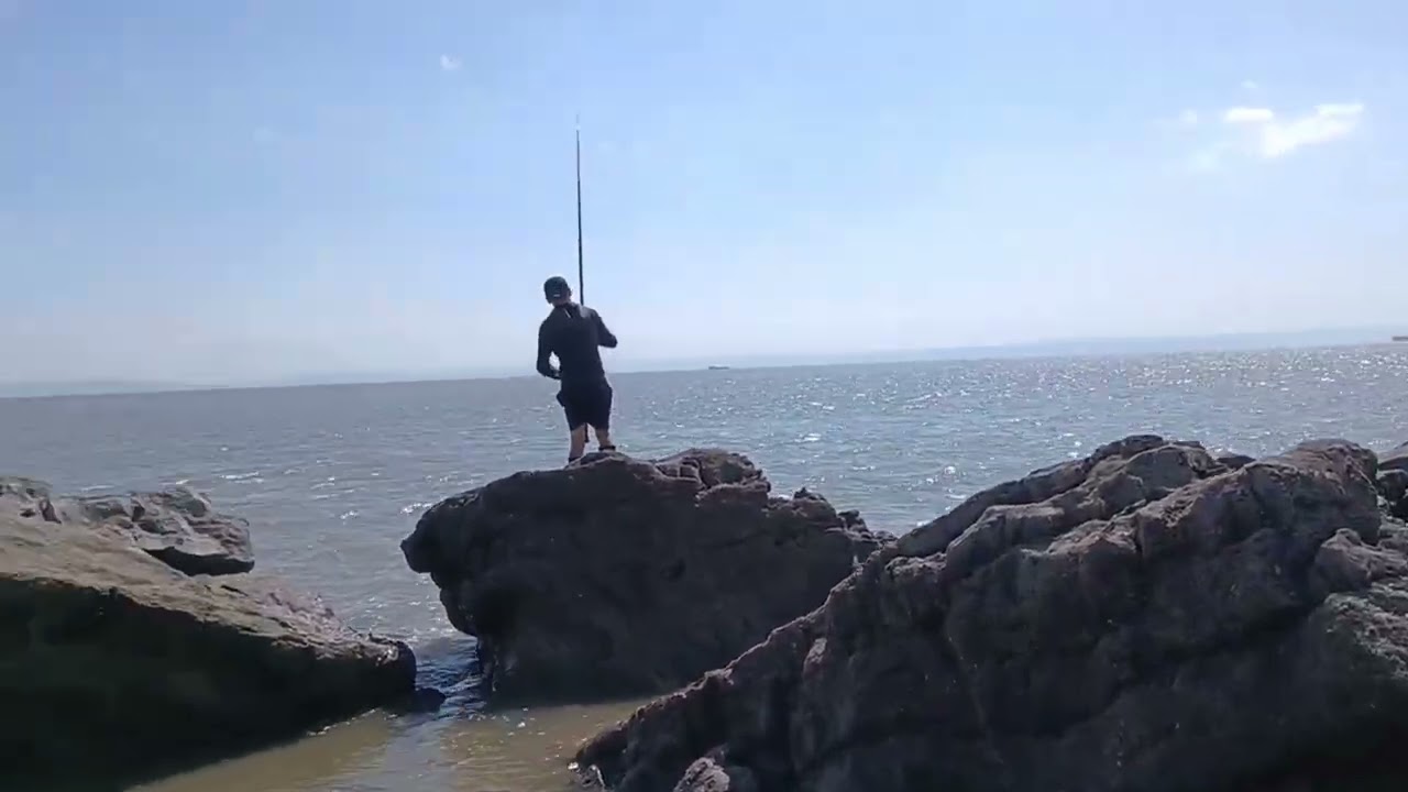 Knap point 🦈