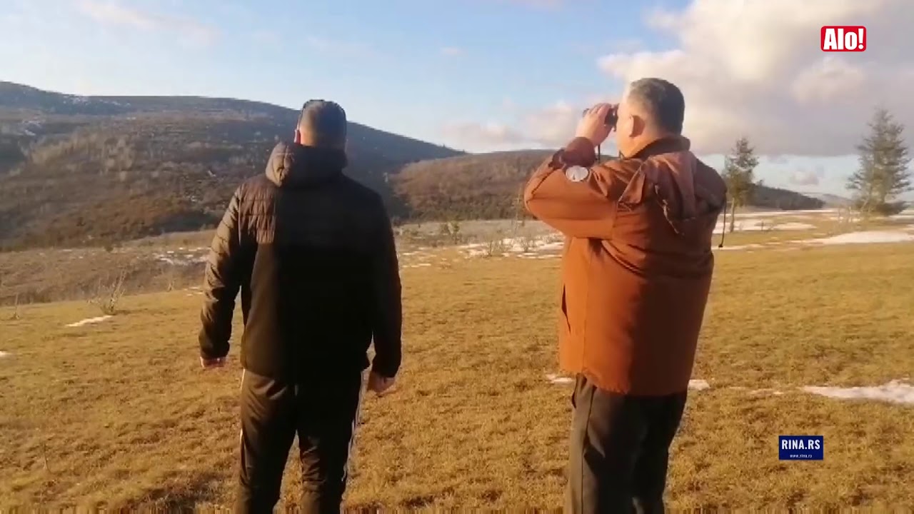 DRAMA NA PE&Scaron;TERU! Rendžeri odneli hranu za ženku beloglavog supa, ali je prepadnuta Vasilija pobegla