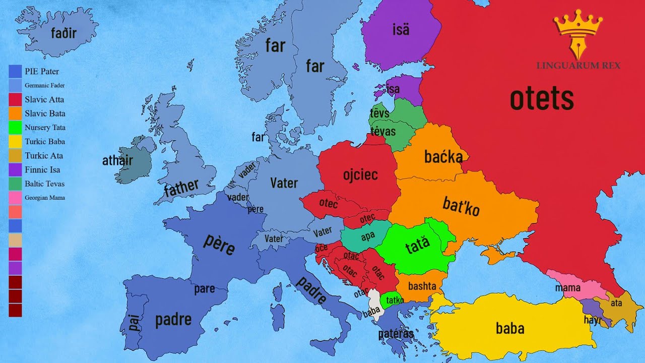 Family Terms Across 42 Languages | European Languages Comparison