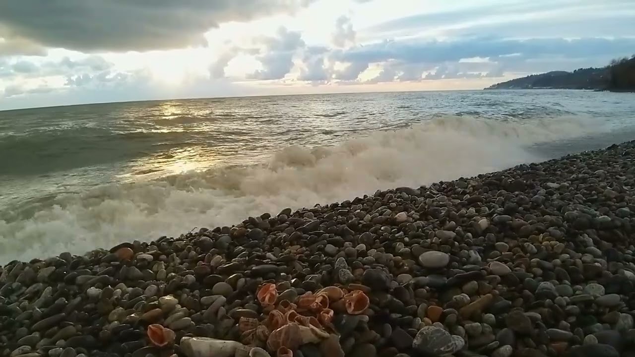 06.03.26 РЕЛАКС) Шум моря❤🌊 Сочи🌴#sochi 