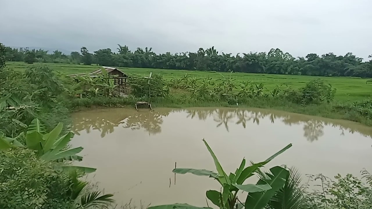 การจัดการพื้นที่ทั้ง 4 ทิศตามแนวคิด 