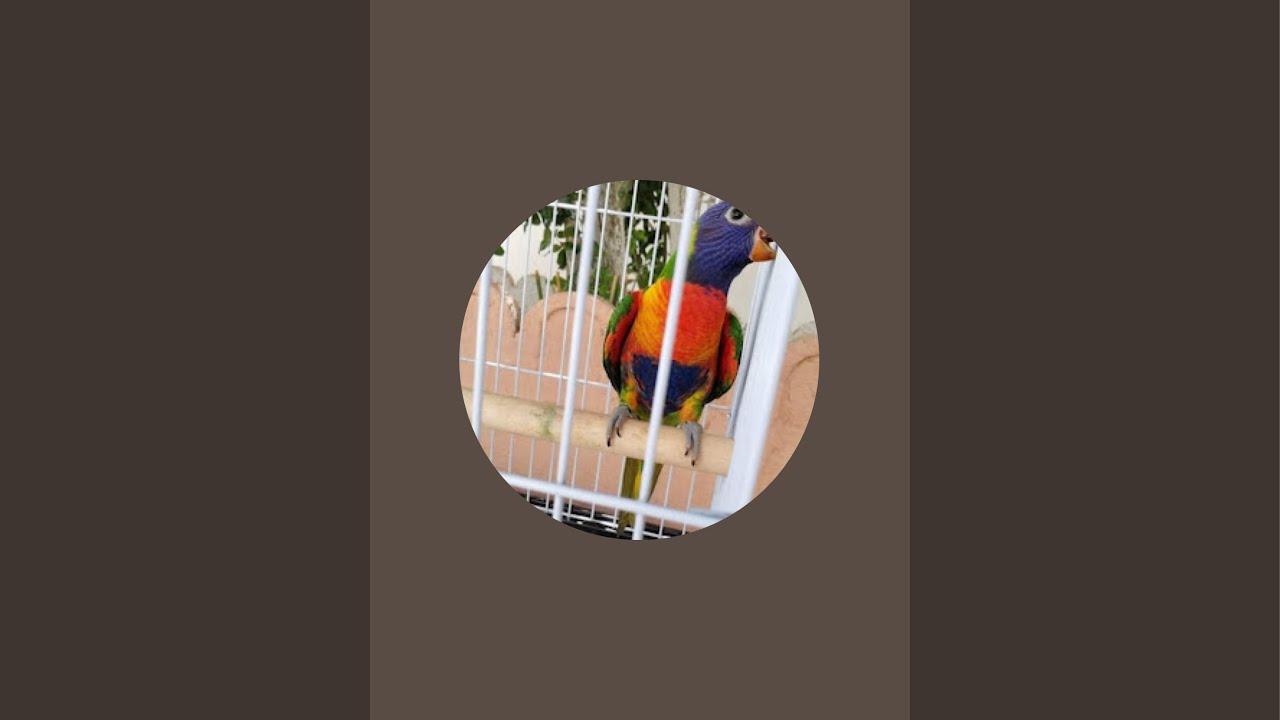 بدأت قناة 