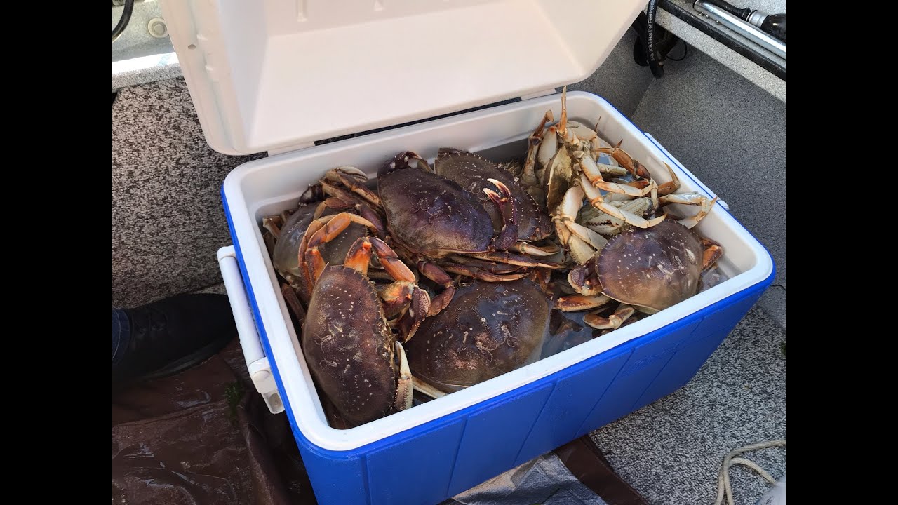 Crab Recon September 22 Charleston Oregon