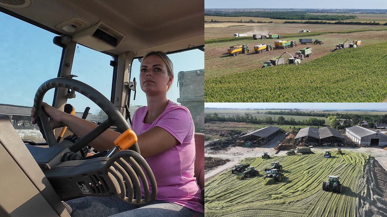 A nagy silózás/Big Corn Silage- 5 X Claas Jaguar+John Deere silózó - 33 szállító/Pélpusztai MG Zrt.