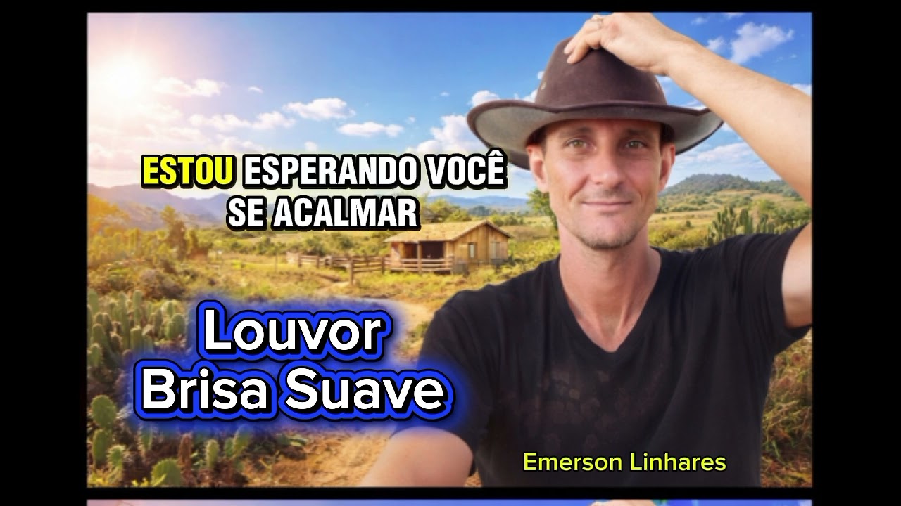 Brisa Suave/ Playback / Emerson Linhares da Silva 