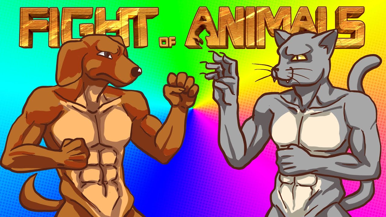 CHAD JAMNIK VS KOT TURBODACHOWIEC! | FIGHT OF ANIMALS