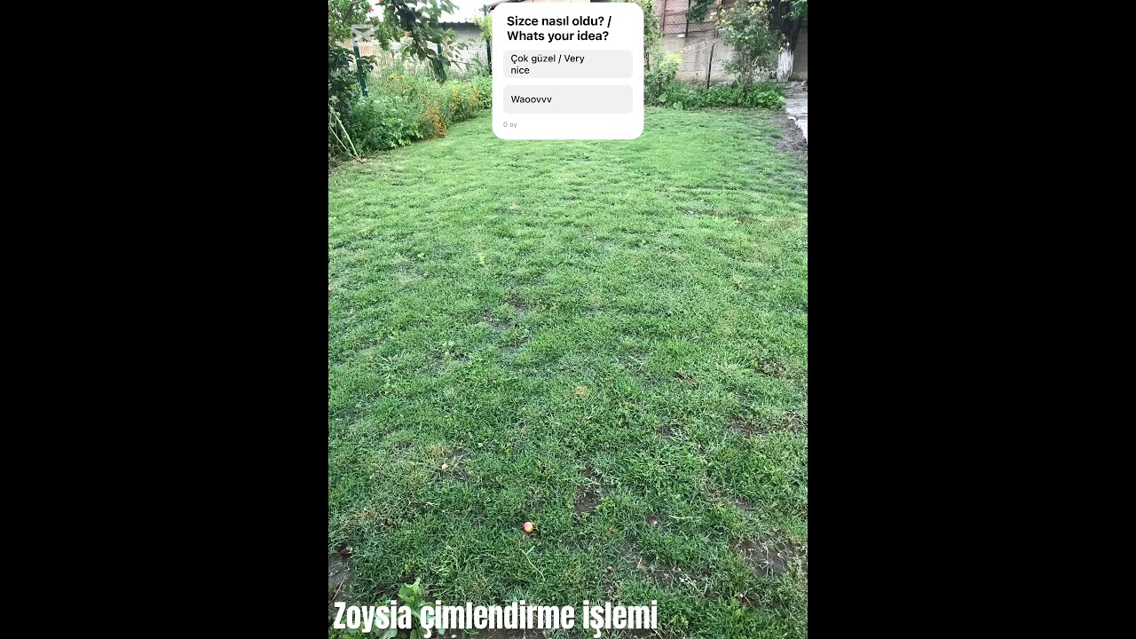 Zoysia &ccedil;imlendirme işlem #zoysia #&ccedil;im #bah&ccedil;e #garden #zoysiagrass #grass #k&ouml;y #peyzaj #work #emek