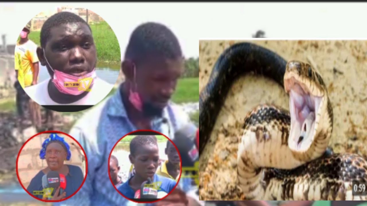 🔴URGENT À YEUMBEUL BEN BARACK APPARITION D UN ANACONDA...DU JAMAIS VU!!.....