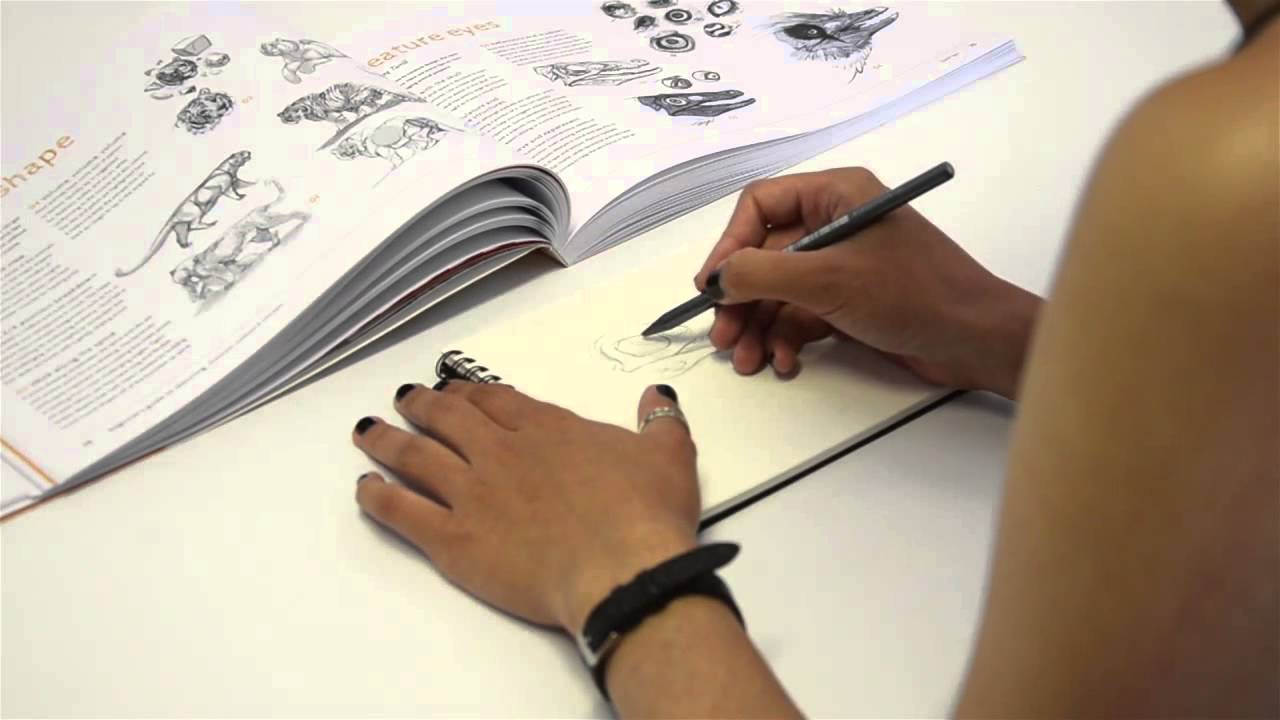 Beginner's Guide to Sketching sneak peek!