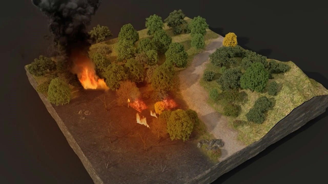Combattre les feux de forêt | AFP