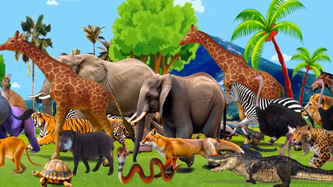Animal Sounds Song| Wild Animal Names And Sounds| Animals Song For Kids| Baby Song For Children