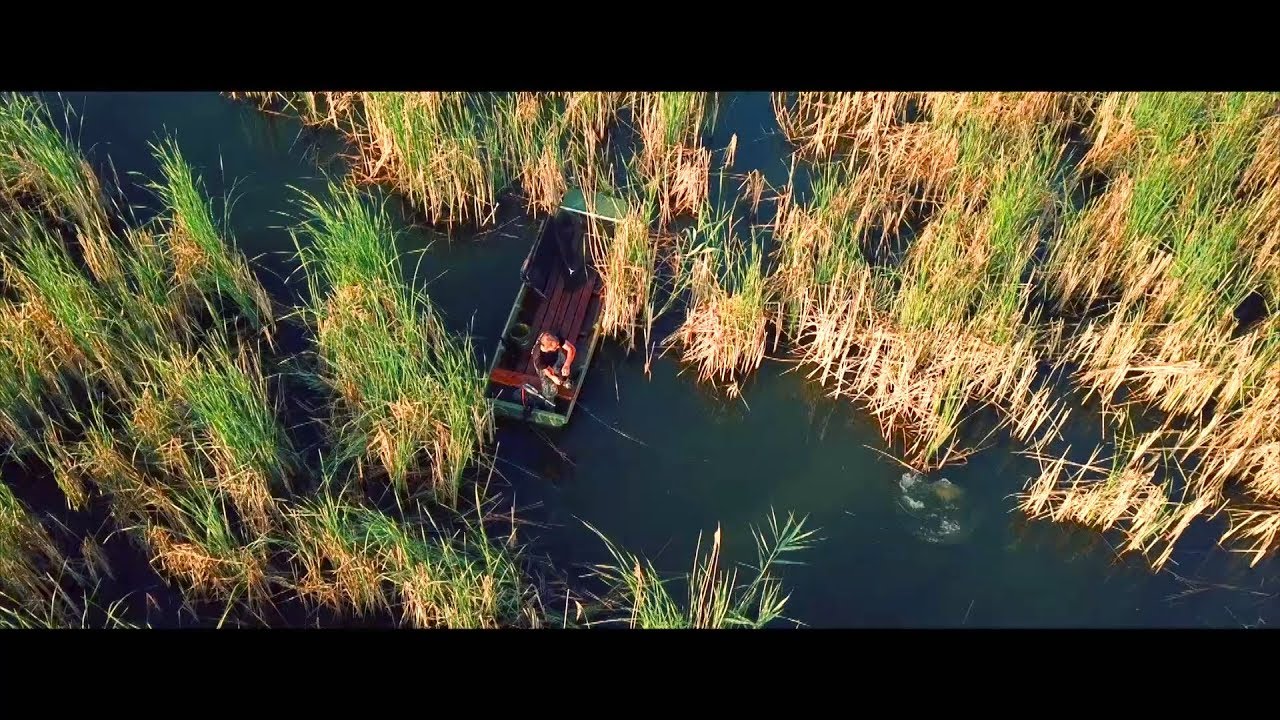 Don Carp Lake  visszatérés a paradicsomba