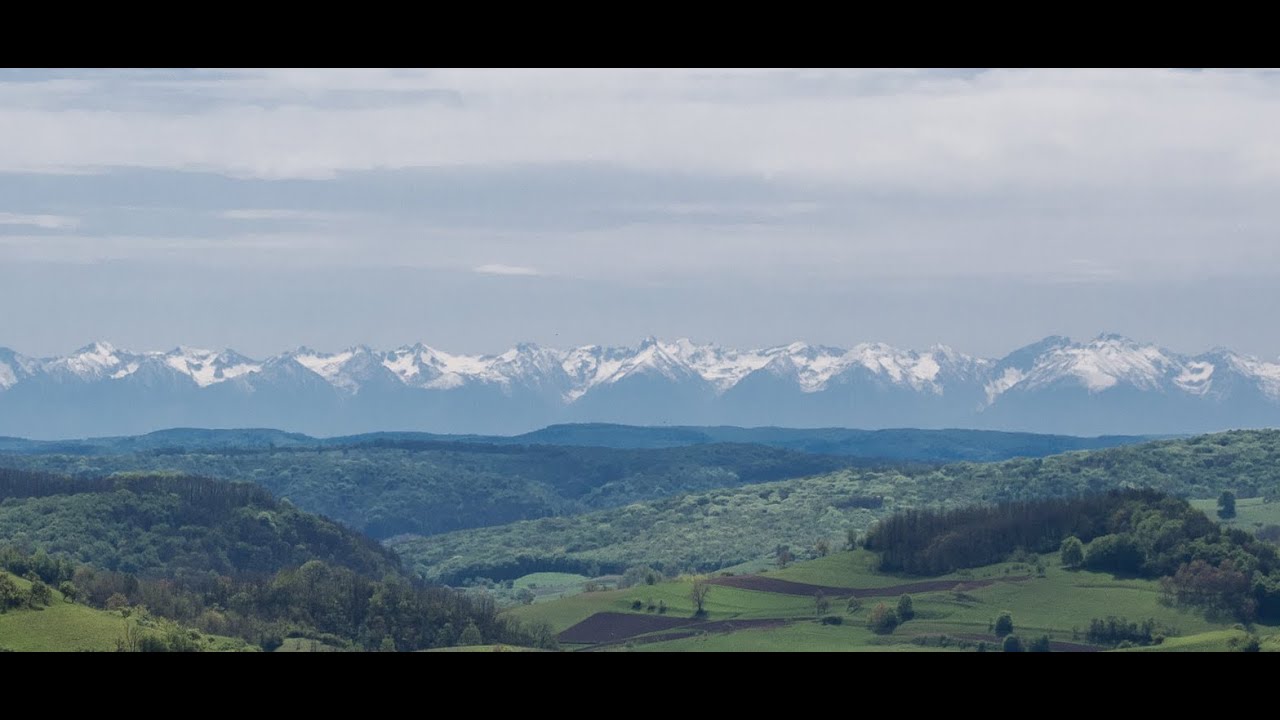 Boldi Banda  Balázstelki muzsika