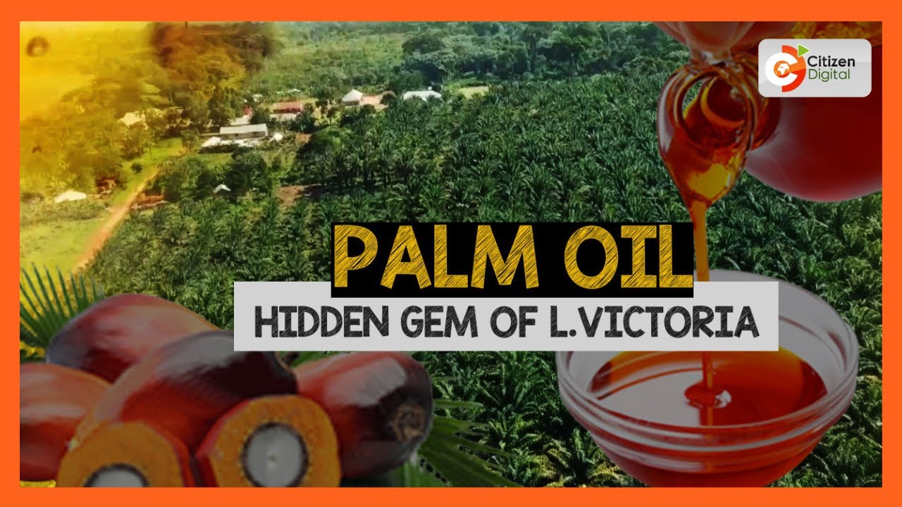 BIDCO Africa embarks on a project that will see Kenya start palm oil production