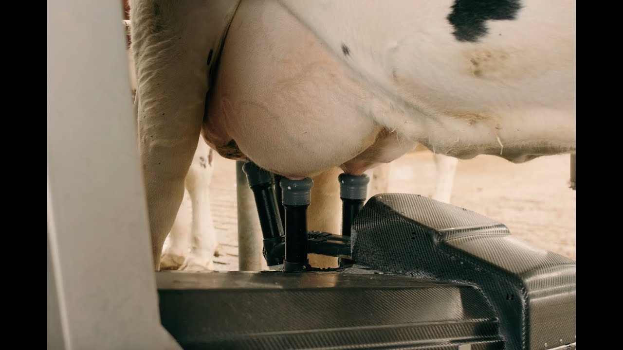 Installation of ™AktivPULS Liners | Step-by-step manual for Automatic Milking Systems