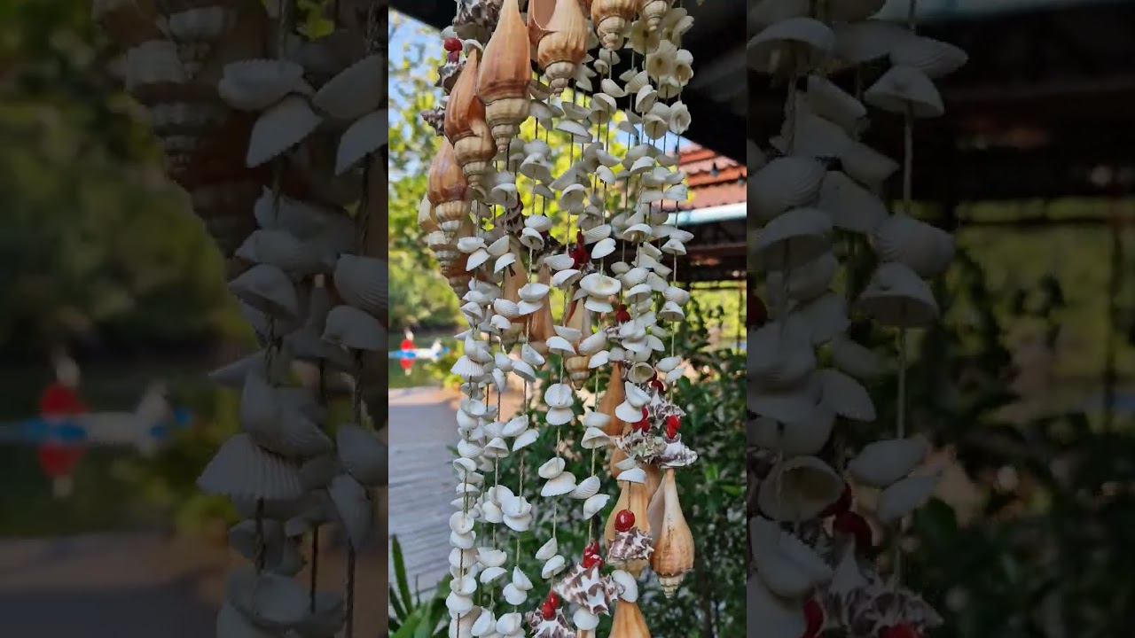 Ракушечная красота в Baan Klong Jao Homestay #ракушки #seashell #kohkood #thailandlifestyle