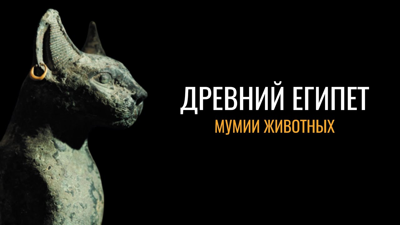 Древний Египет: Мумии животных