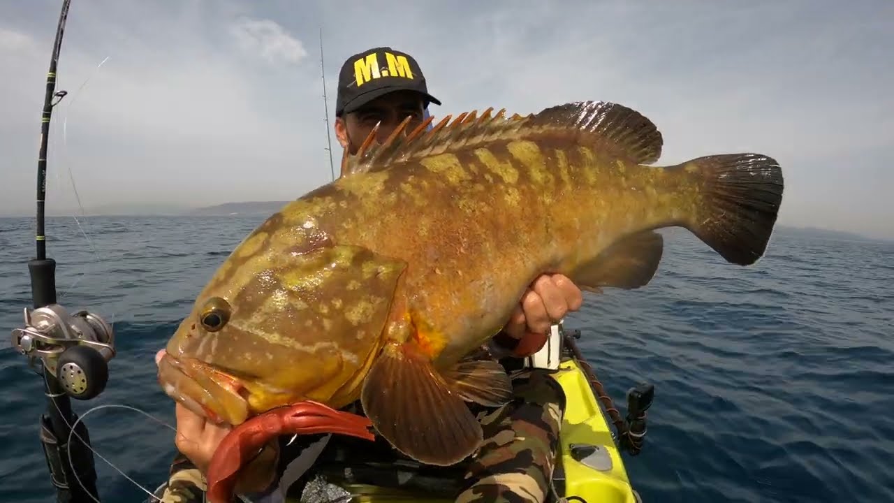 Mero y Gallineta Prototipo Calamar MMLures