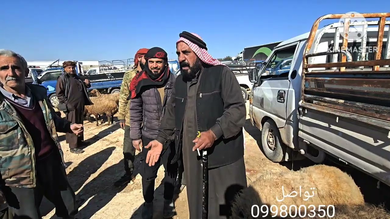جوله جديده في اسواق الشمال السوري الدانا 13\4\2026 حركه السوق وأسعار اللحم وغنم الجنيه لخراف لسرحيه 