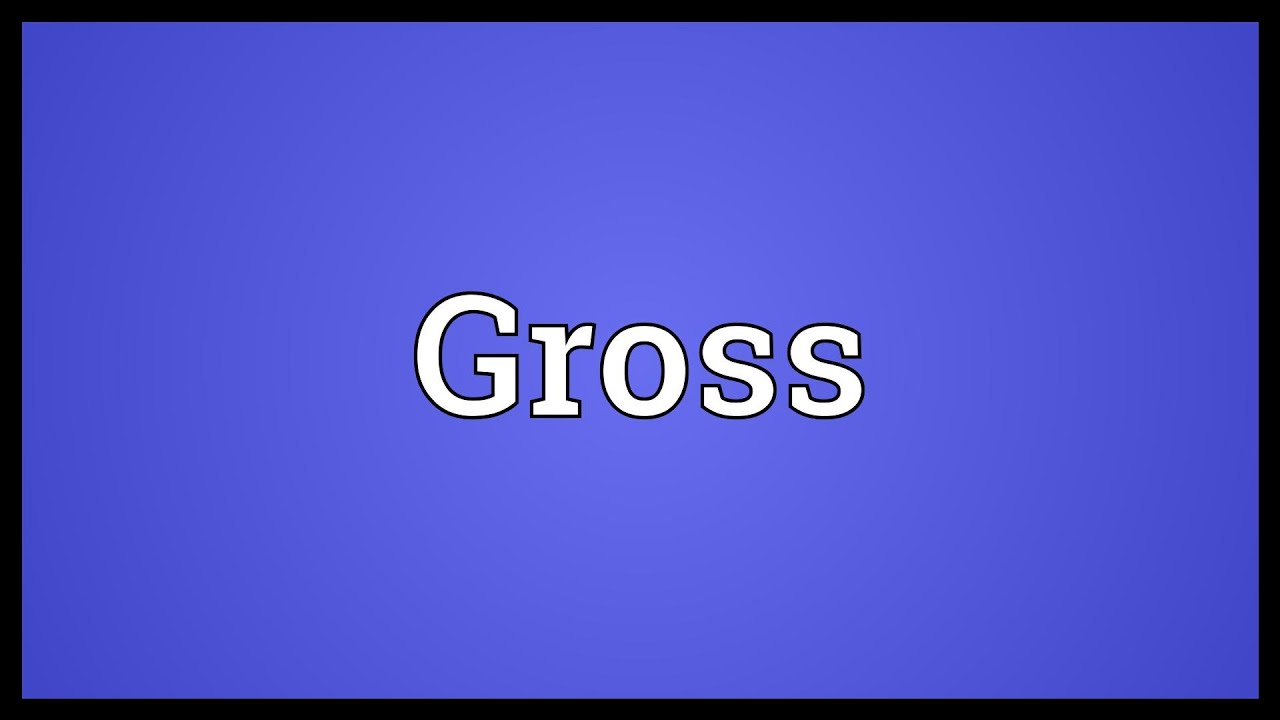 Gross Meaning
