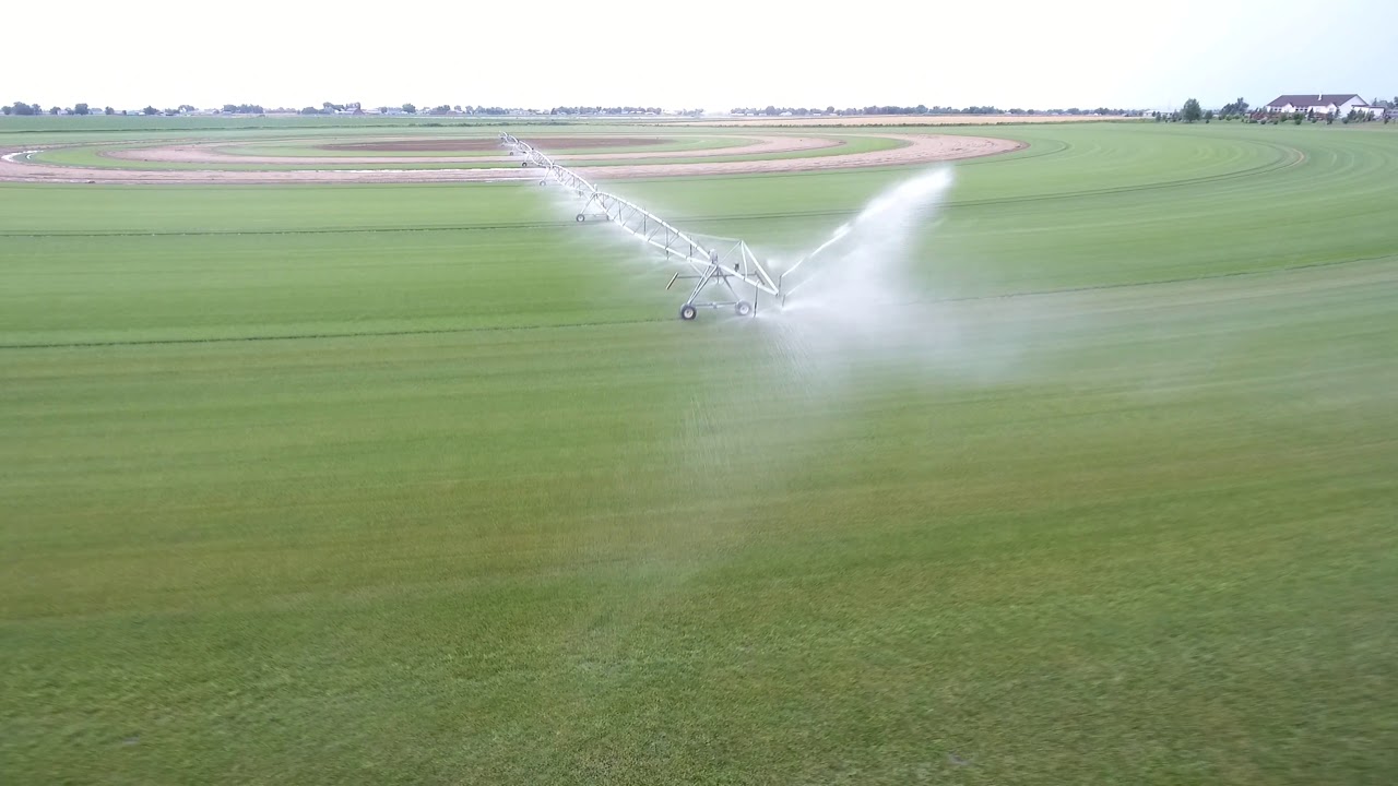 Pivot Irrigation over Turf Master Sod Farms