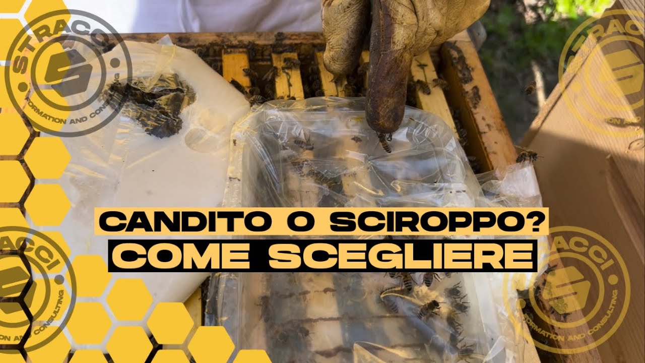 Candito o Sciroppo: Qual’è il Migliore?
