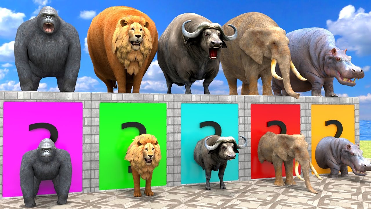 Long Slide Game With Cow Elephant Gorilla Hippopotamus Tiger - 3d Animal Game - Funny 3d Animals