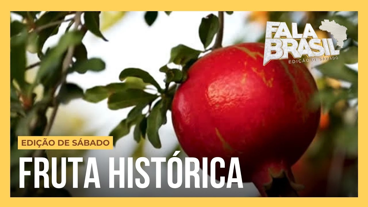 Saiba tudo sobre a romã, fruta apreciada pelos israelitas e presente no templo feito por Salomão