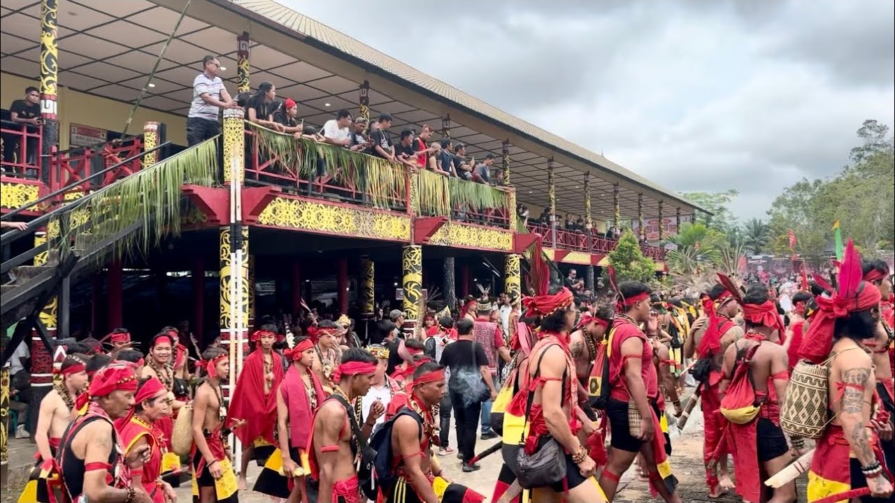 Ribuan warga dayak berkumpul  dirumah panjang untuk ritual adat 