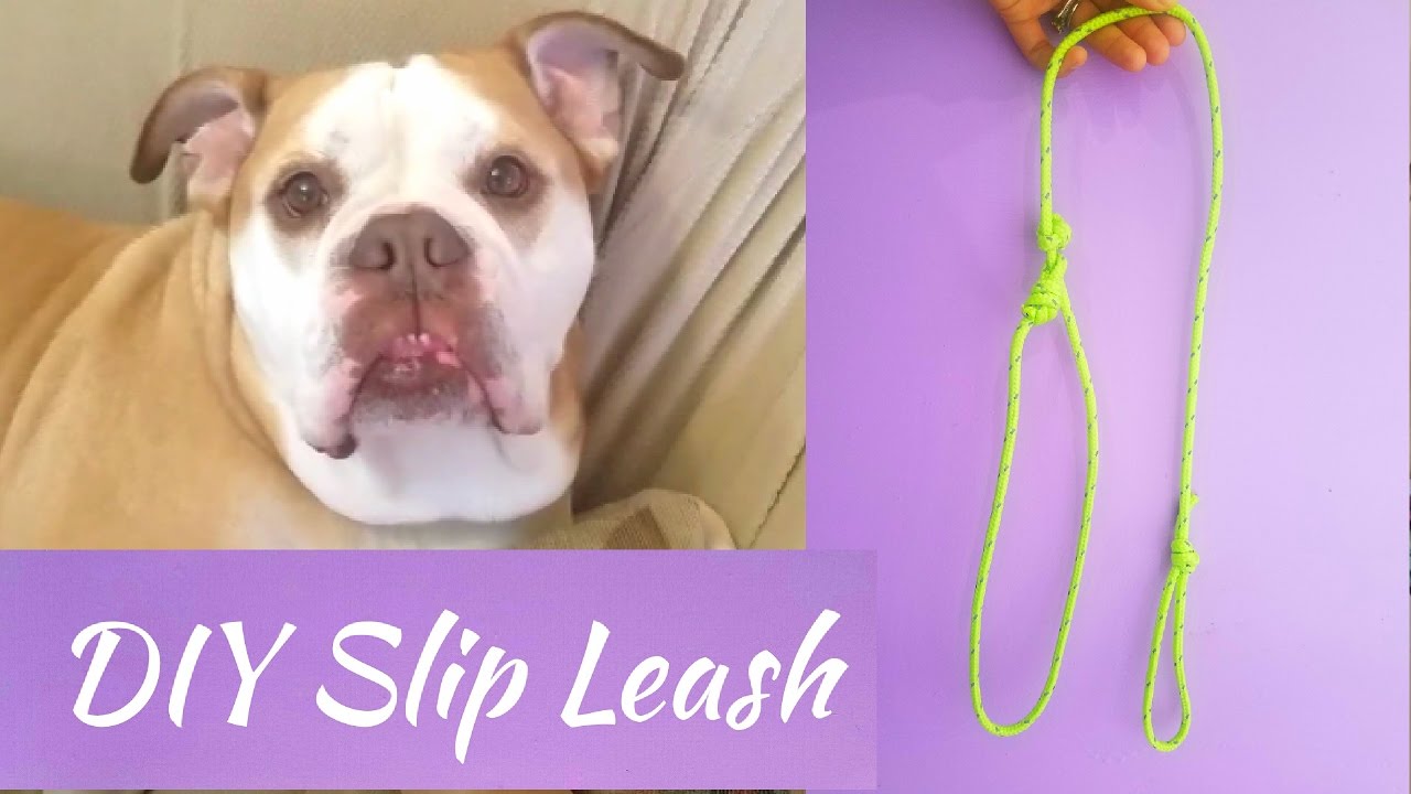 How to Make a Slip Leash from Rope