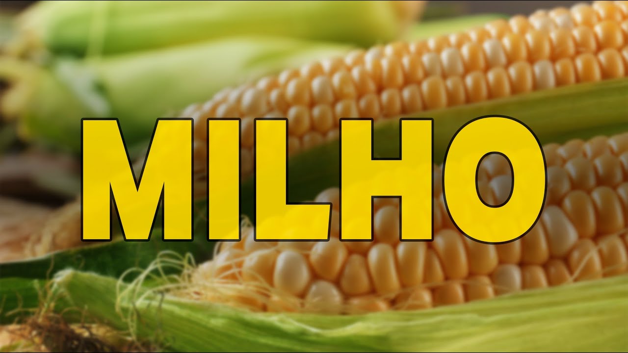 QUEM TEM DIABETES PODE COMER MILHO?