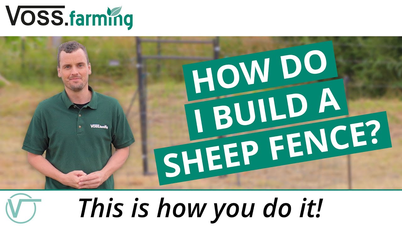 How do I build a sheep fence? - This is how you do it!