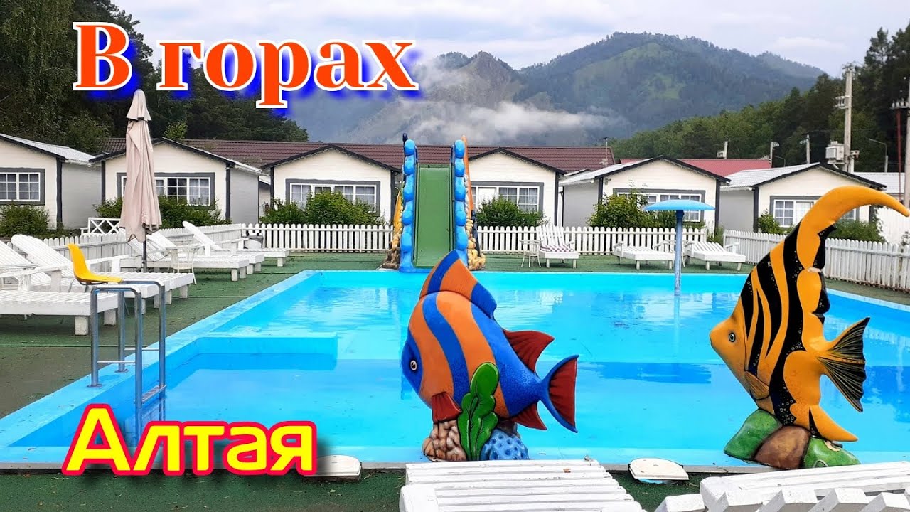 В горах Алтая | База Прованс | Купил мёд у Красотки | Лохмата ферма | Парк - Отель  Манжерок